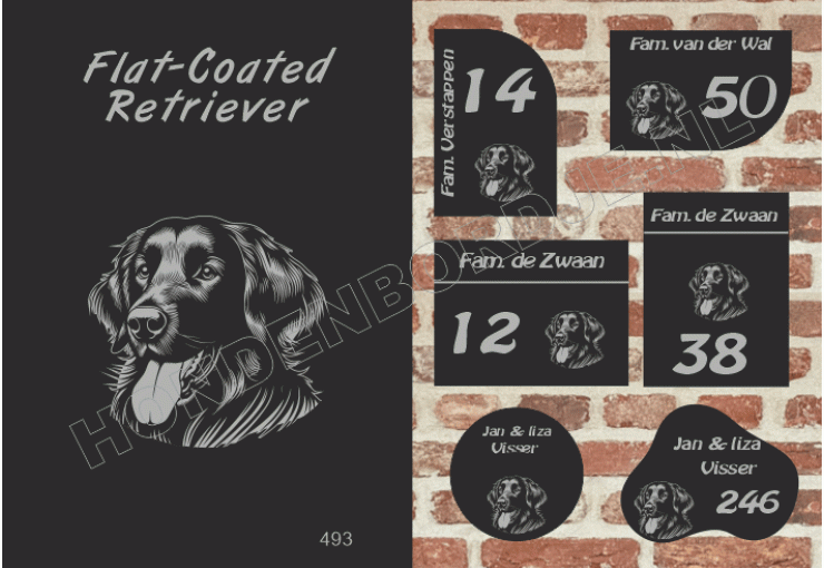 Naambord Flat-Coated Retriever