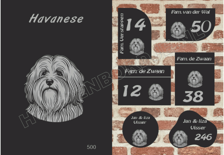 Naambord Havanese