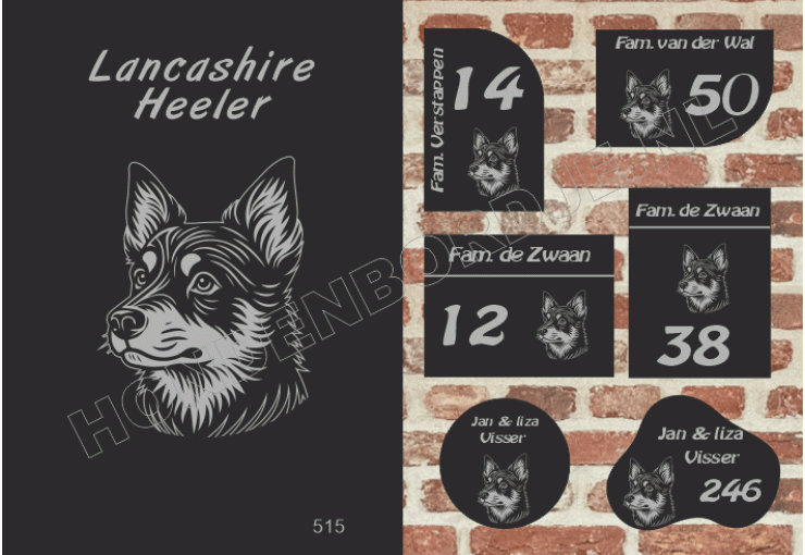 Naambord Lancashire Heeler
