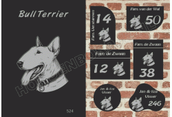 Naambord Bull Terrier