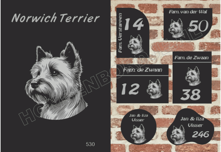 Naambord Norwich Terrier