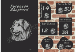 Naambord Pyrenean Shepherd