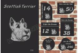 Naambord Scottish Terrier