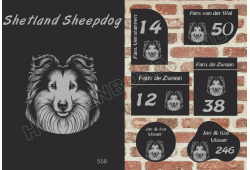 Naambord Shetland Sheepdog