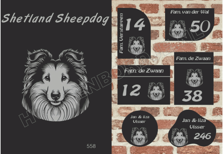 Naambord Shetland Sheepdog