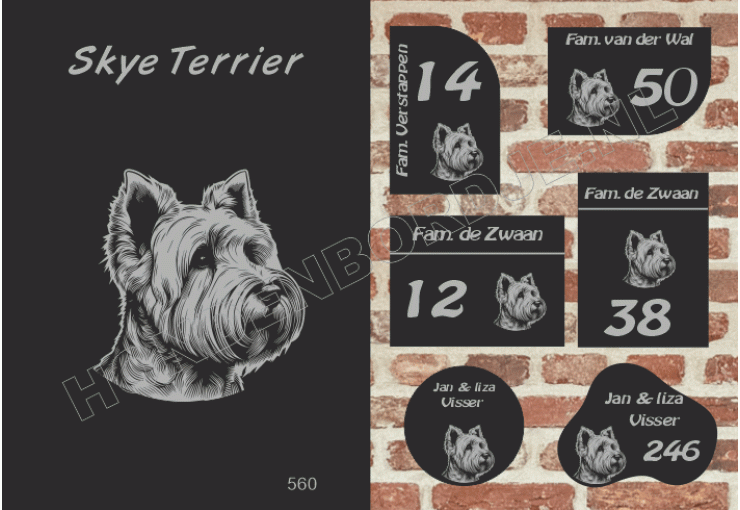 Naambord Skye Terrier Naambord Skye Terrier
