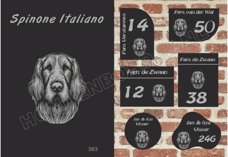Naambord Spinone Italiano Naambord Spinone Italiano