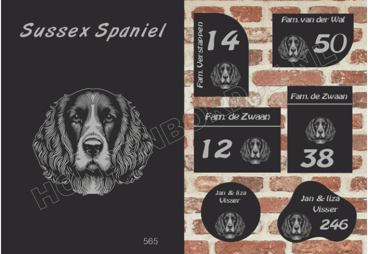 Naambord Sussex Spaniel