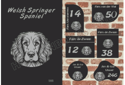 Naambord Welsh Springer Spaniel