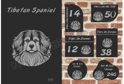 Naambord Tibetan Spaniel